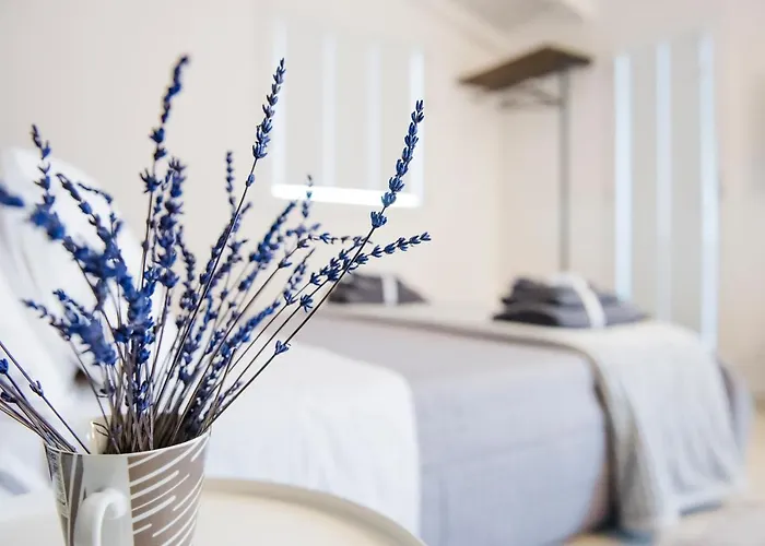 Cielo D' Palazzo Adamo * Alcamo